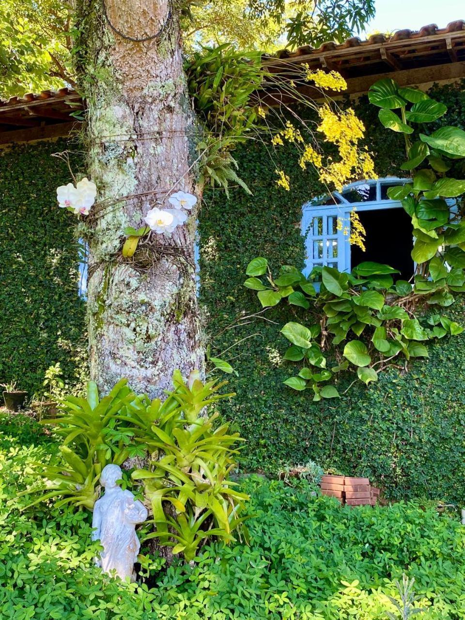 Pousada Casa Do Ipe Amarelo 미겔 페레이라 외부 사진